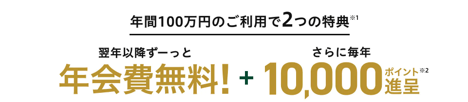 年間100万円利用で10,000ポイントプレゼント